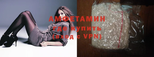 гидра Аркадак