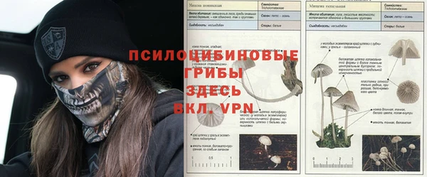 дживик Армянск