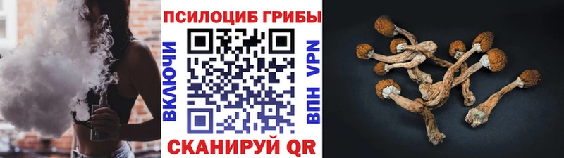где купить наркоту Болхов kraken Галлюциногенные грибы Psilocybine cubensis